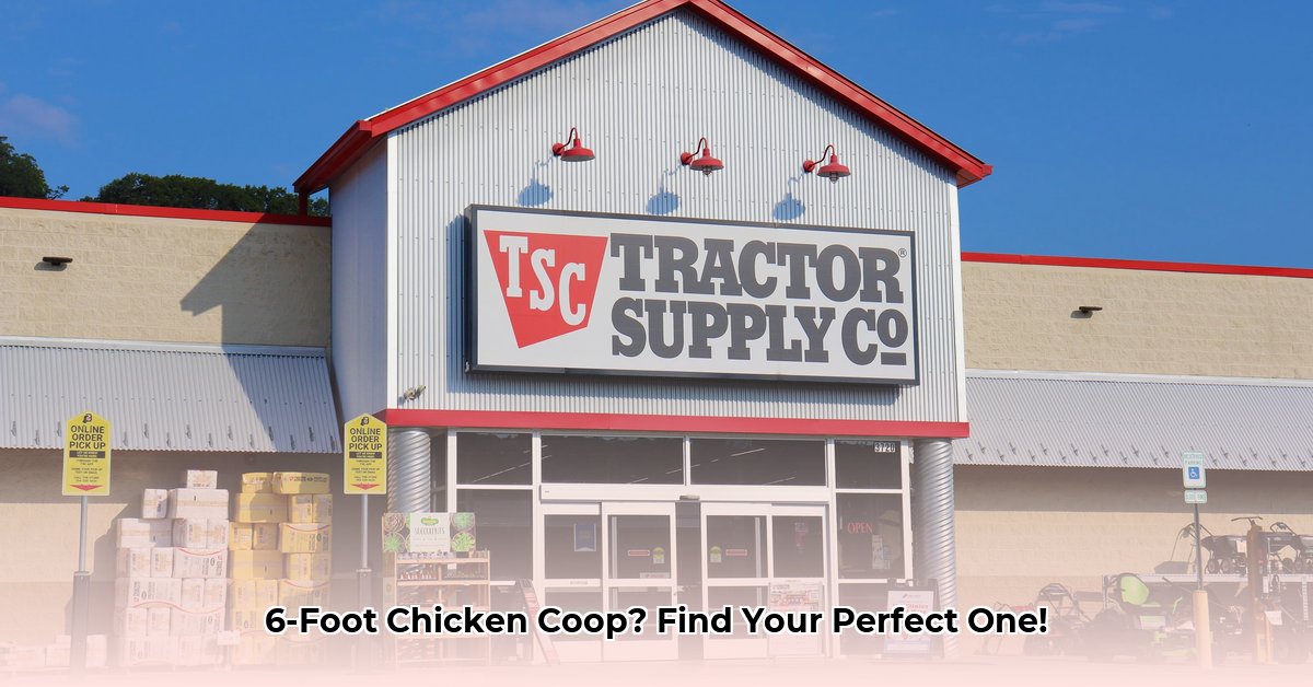 tractor-supply-6-foot-chicken